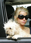 Jessica Simpson Photo 3