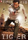Ek Tha Tiger HD Video Songs