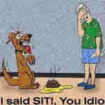 Sit Not Shit