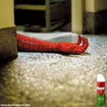 Best Insect Killer