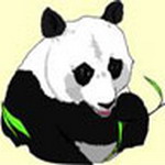 Animal Msn Display Pictures