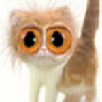 Funny Msn Display Pictures