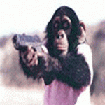 Funny Msn Display Pictures