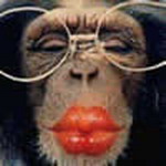 Funny Msn Display Pictures