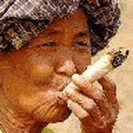 Funny Msn Display Pictures