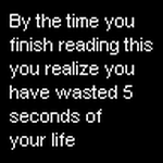 Funny Msn Display Pictures