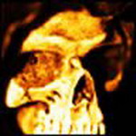Halloween Msn Display Pictures