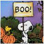 Halloween Msn Display Pictures