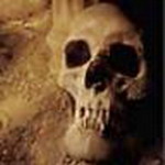 Halloween Msn Display Pictures