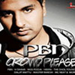 Punjabi By Nature - Crowd Pleaser 