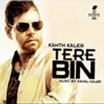 Tere Bin