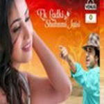 Ek Ladki Shabnmi Jaisi