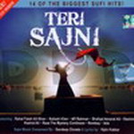 Teri Sajni - Various Artists