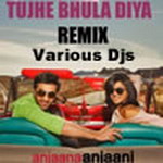Tujhe Bhula Diya - (Various Dj Mix)